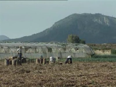 PATATAS (1)  CAMPO APEROS